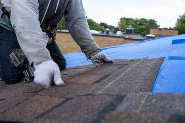 Quick and Trustworthy Emergency Roof Repair Services in Las Palmas Ii, TX